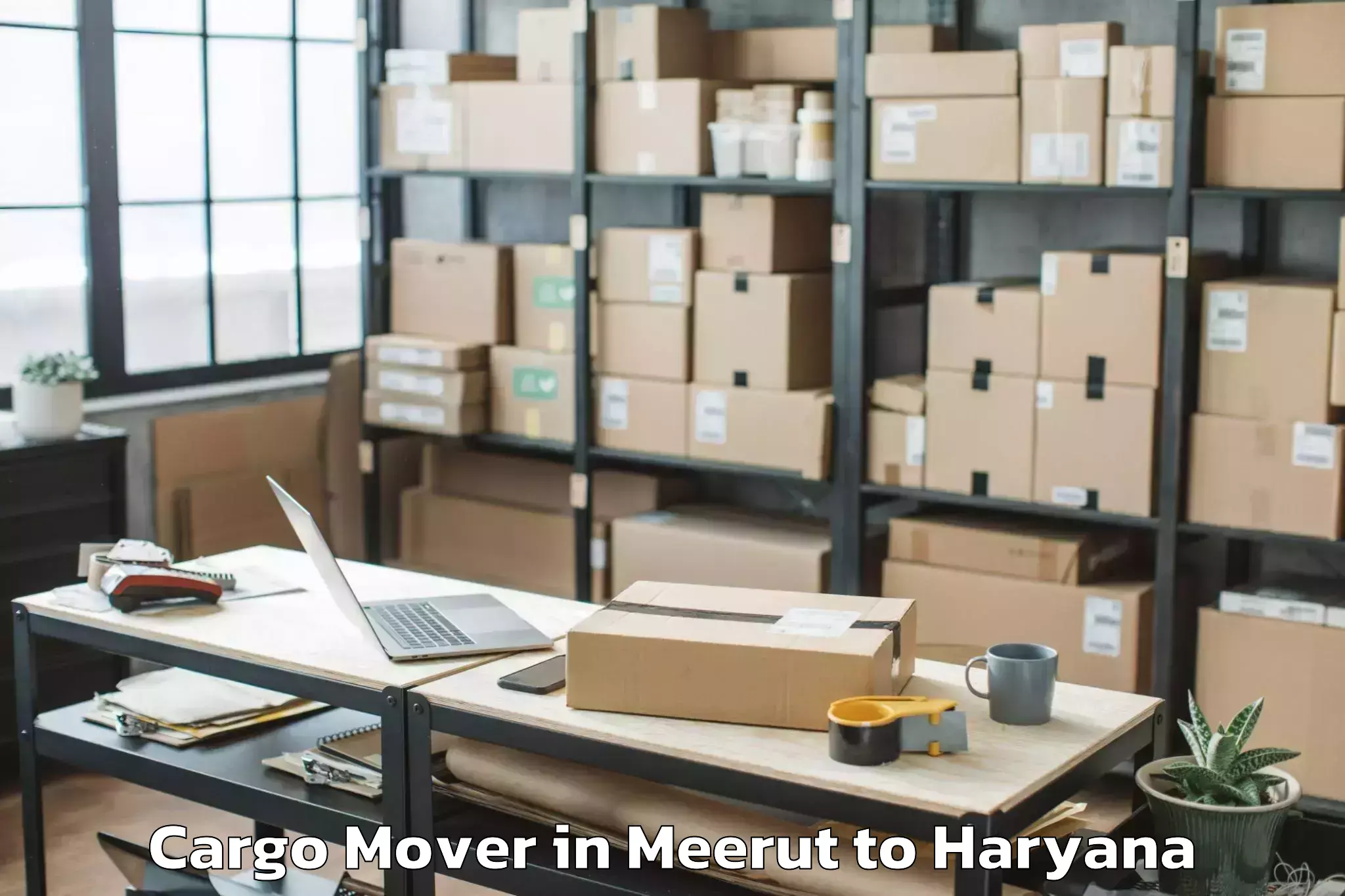 Top Meerut to Srm University Haryana Sonipat Cargo Mover Available